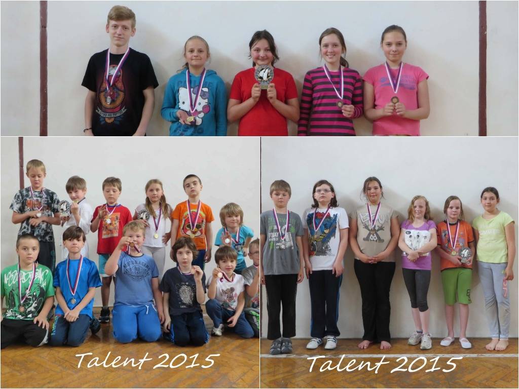 Talent podzim 2015