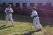 Ukázka karate